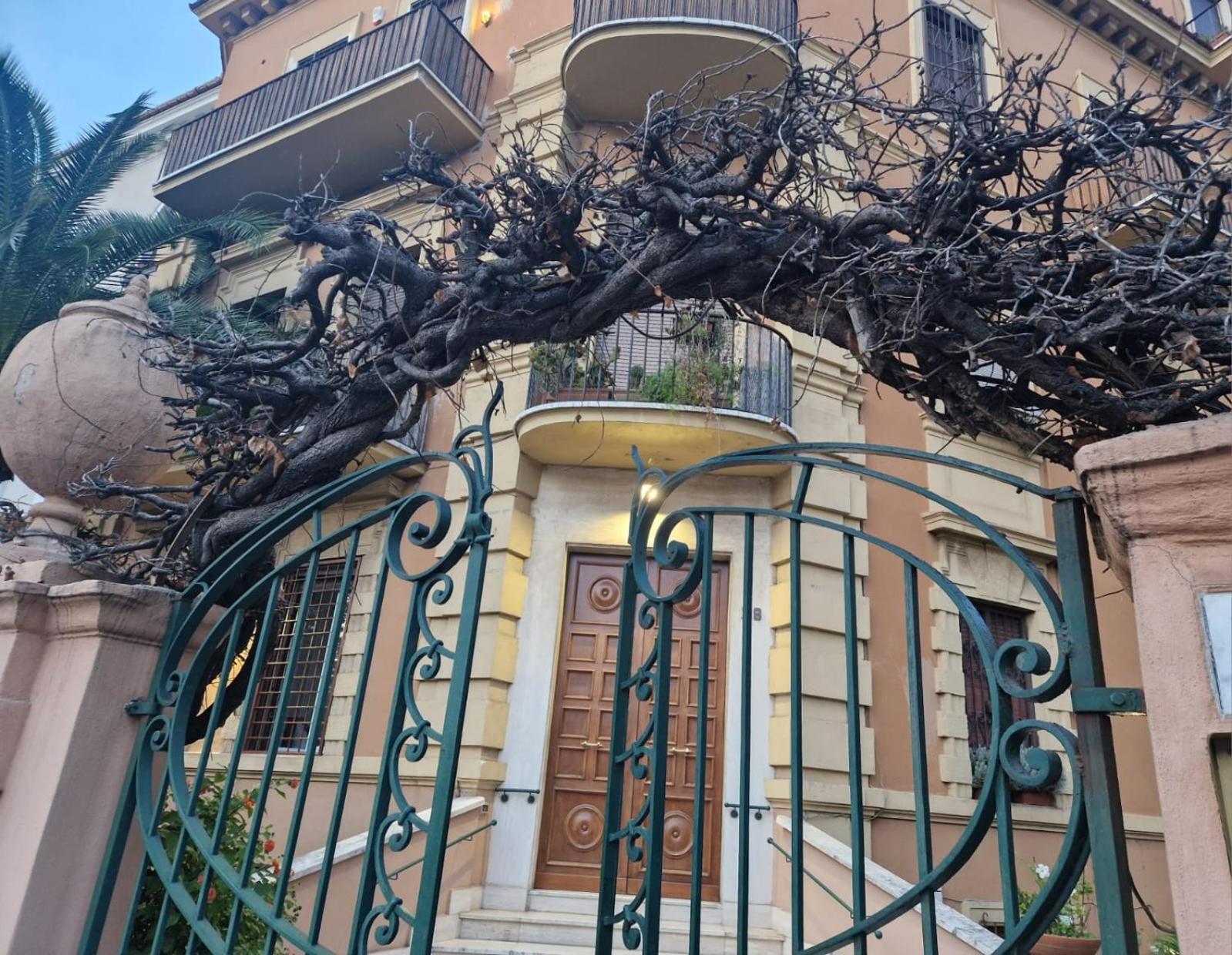 Casa vacanze L'arancio A Belle Arti Flaminio *